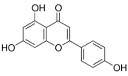 Apigenin flavonoid in th hemp plant - flavonoids