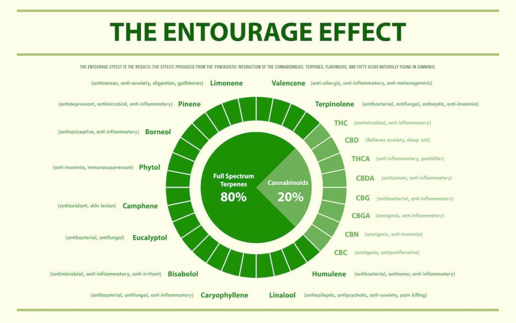 What is the entourage effect with CBD?