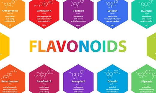 CbdBase Hemp Complex flavonoids raw full spectrum CBD oil