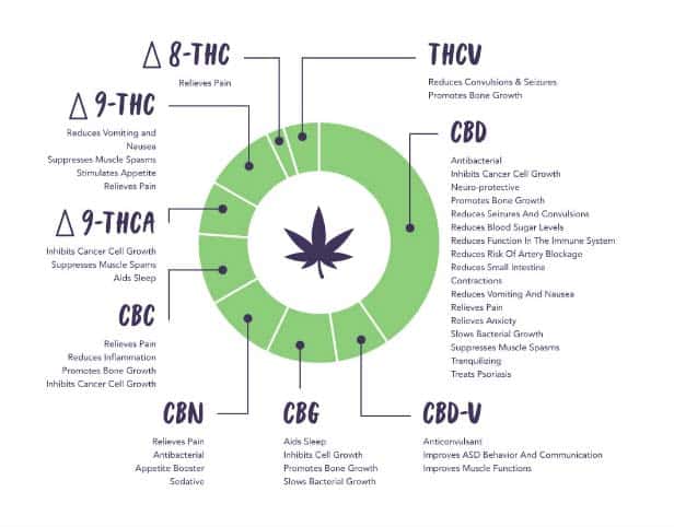 industrial hemp cannabinoid - cannabis sativa L