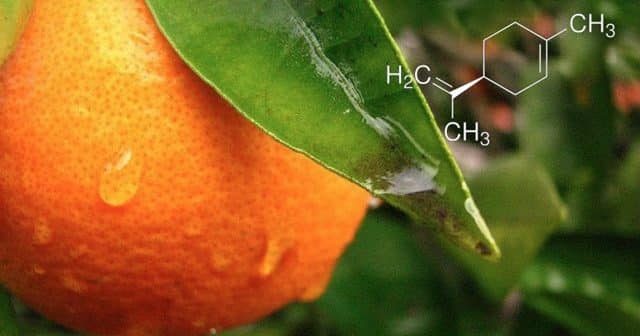 CbdBase Hemp Complex terpene benefits